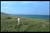 mplayerc 2008-04-20 10-50-32-40