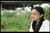 mplayerc 2008-04-20 10-52-52-62