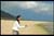mplayerc 2008-04-20 10-55-33-42